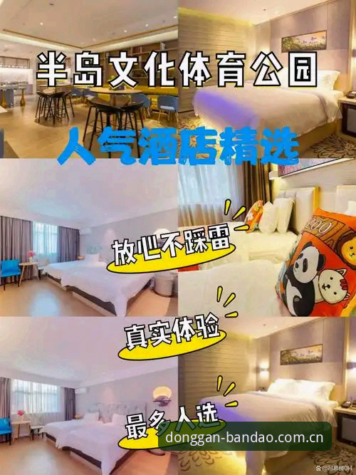 半岛综合体育平台入口选择策略深度分析：动感上场官方登录渠道如何选？